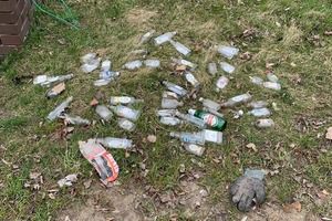 Butelki na trawniku (photo)
