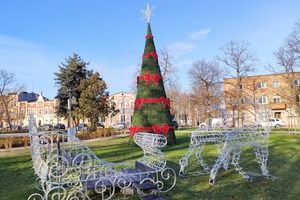 Sanie Świętego Mikołaja wraz z reniferami przy 10 metrowej choince. (photo)